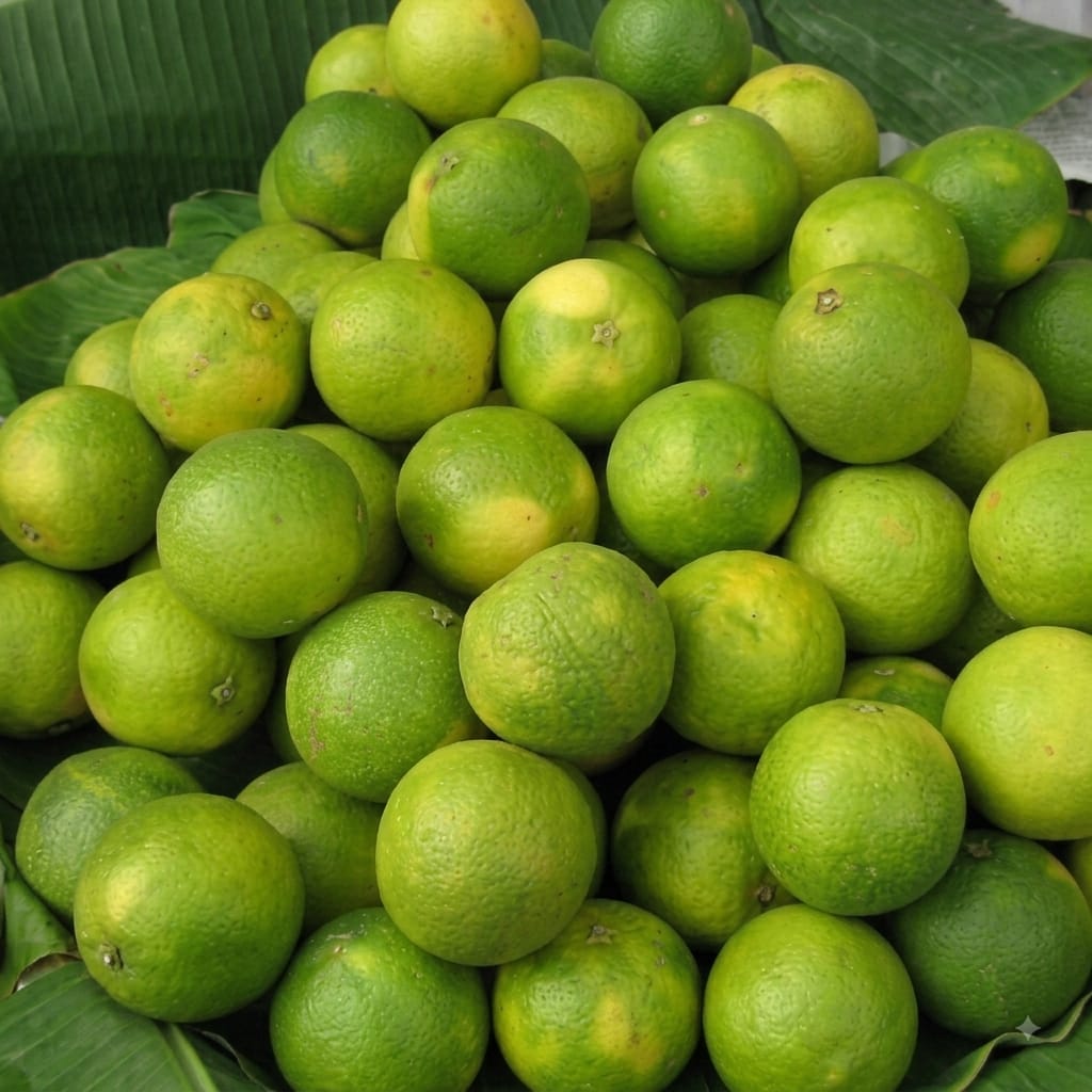Citrus